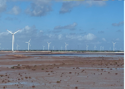 옌청의 황해 갯벌. 드넓은 갯벌 너머로 풍력발전기가 보인다. /사진 이은영 특파원
