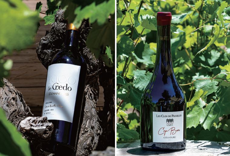 1 레 크레도. /사진 도멘 카제스 2 캅 베어 레드. /사진 도멘 카제스