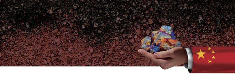 /사진 셔터스톡