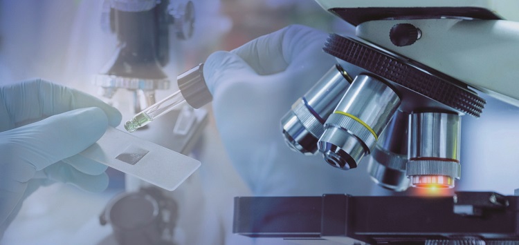 /사진 셔터스톡