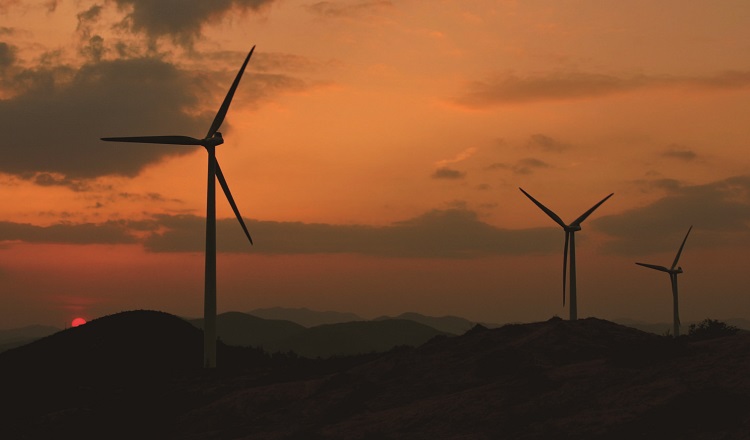 창포리 풍력발전 단지. /사진 최갑수