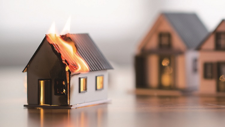 /사진 셔터스톡