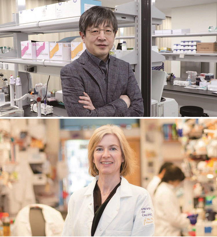 김진수(위) KAIST 교수는 서울대 교수로 재직했을 때 크리스퍼 캐스9 유전자 가위가 인간 세포에서 작동한다는 사실을 밝혔다. 제니퍼 다우드나(아래) UC 버클리 교수는 같은 연구로 노벨상을 받았지만 상용화 기술 특허 출원은 김 교수가 앞서 국제 특허 소송에서 우선권을 인정받았다. /사진 조선비즈·UC 버클리