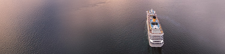 /사진 셔터스톡