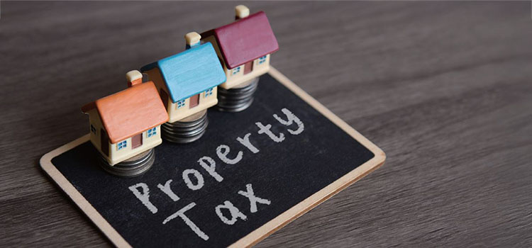 /사진 셔터스톡