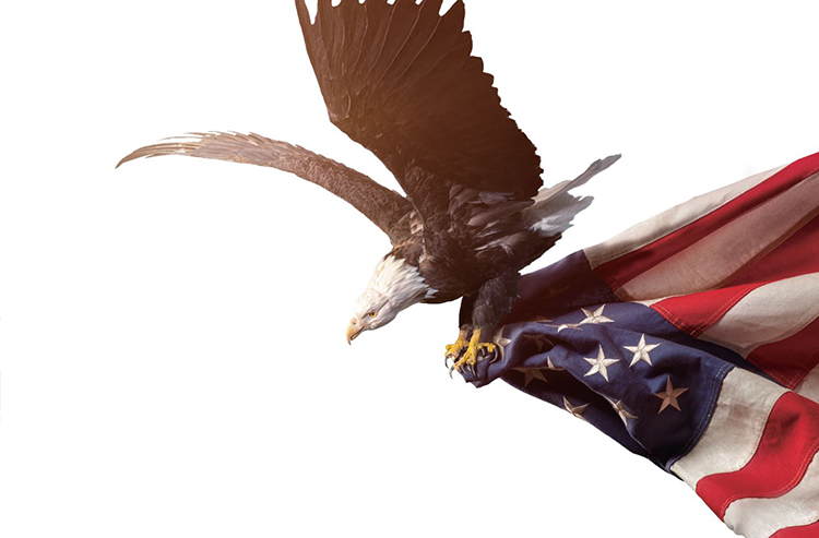 /사진 셔터스톡