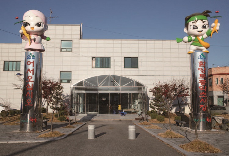 함양토종약초시장. /사진 최갑수