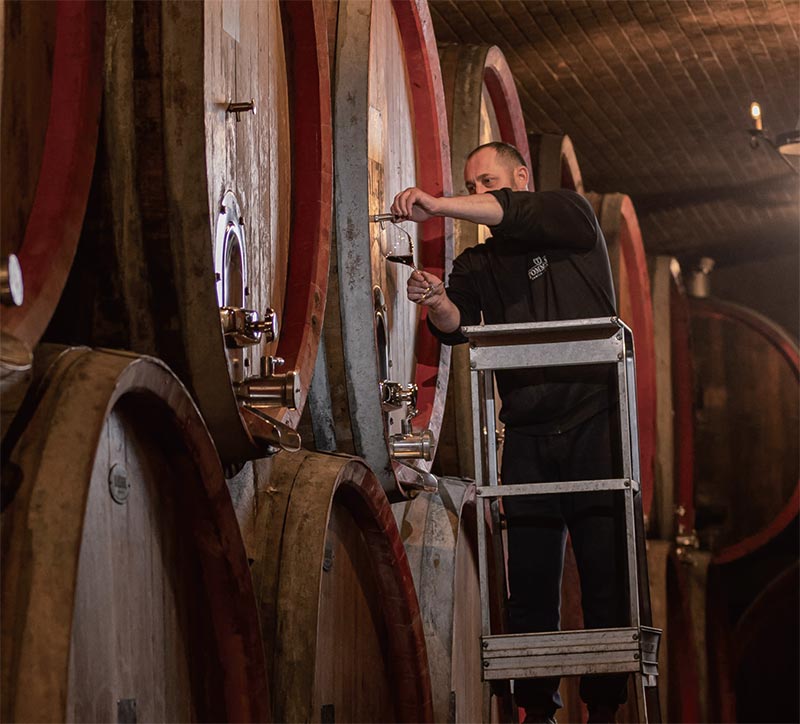 토마시의 대형 오크통에서  와인을 추출하고 있다. /토마시