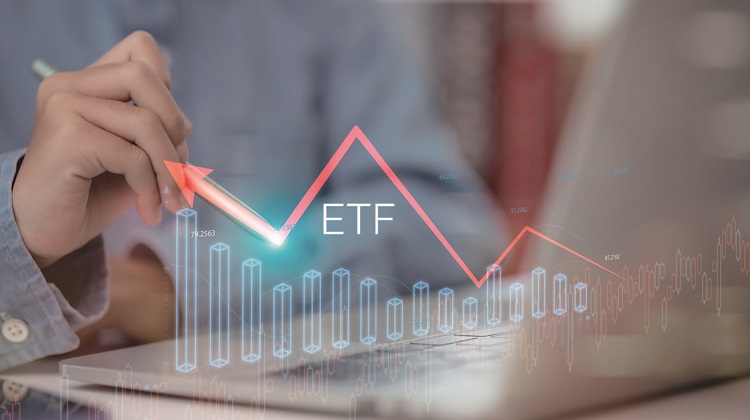 /사진 셔터스톡