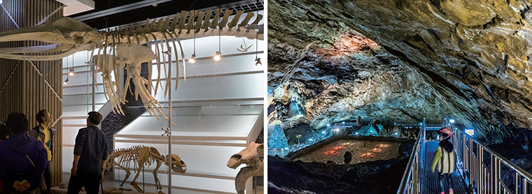 (왼쪽부터) 태백고생대자연사박물관. 용연동굴 /사진 최갑수