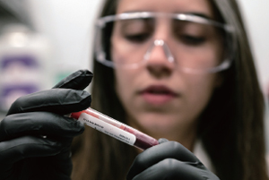 미국 글래드스톤연구소의 욜란다 마르티-마테오
스 박사가 혈액이 들어있는 시험관을 점검하고 있
다. 글래드스톤연구소 과학자들은 적혈구가 저산소
환경에서 숨겨진 포도당 스펀지 역할을 한다는 사실
을 발견했다. /사진 미 글래드스톤연구소 