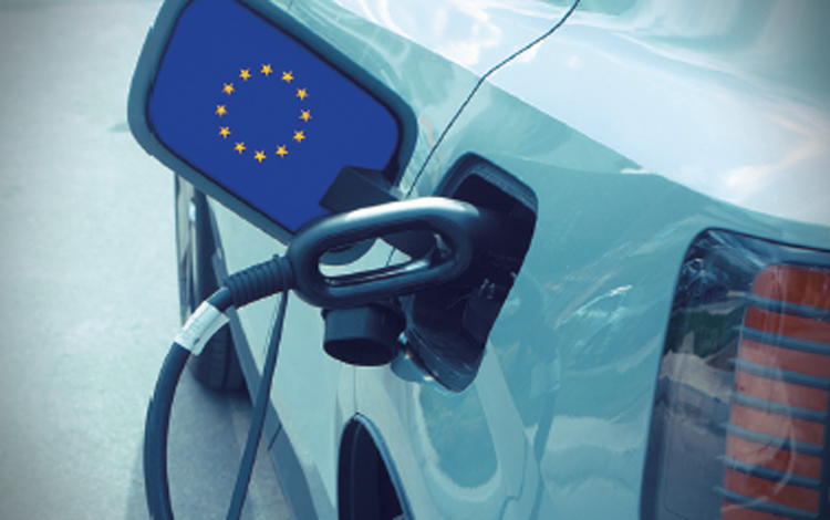 /사진 셔터스톡