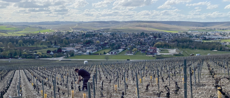 그랑 크뤼 밭이 모여 있는 언덕에서 내려다 본 샤블리 마을. /사진 김상미
