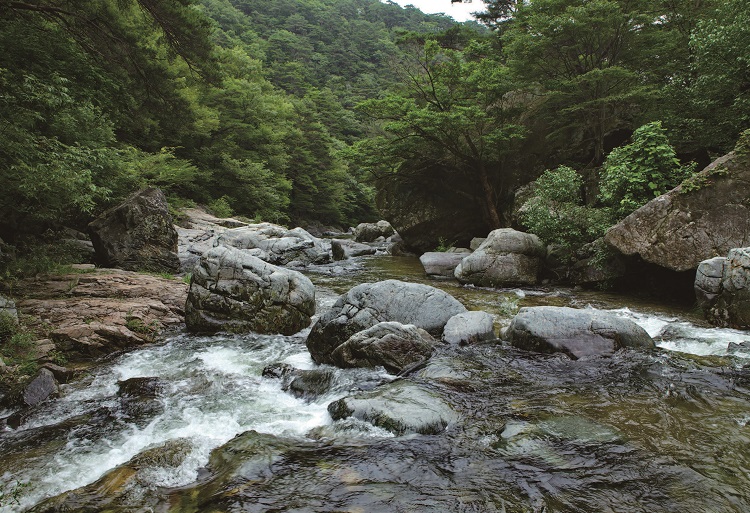 내설악의 정수를 보여주는 십이선녀탕의 비경. /사진 최갑수